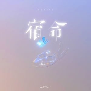 好男人好影视在线播放
